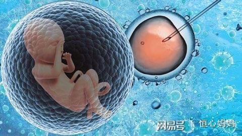 试管供卵公司